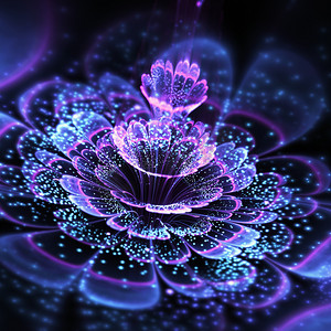 黑暗的分形花用闪闪发光的花粉，数码艺术作品的创意图形设计