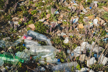 生态概念。地球的生态问题。海边休息的地方垃圾。绿草和花之间的塑料瓶.