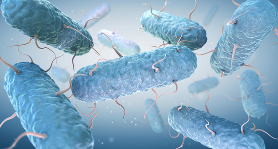 肠杆菌。肠杆菌。肠杆菌科是革兰氏阴性细菌的大家族。3D插图