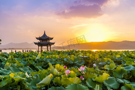 古摄影照片_西湖古亭中的荷花和夕阳云