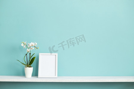 现代房间装饰与相框模型。白色搁板对柔和的绿松石墙与盆栽兰花植物.