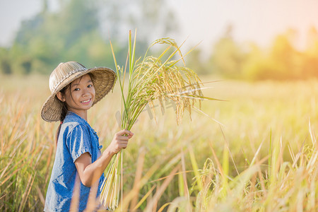 亚洲儿童农民在黄稻田在早上