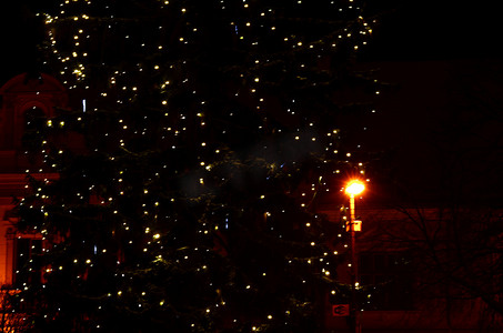 在欧洲小镇的圣诞树点灯仪式
