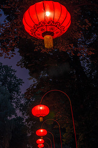 park摄影照片_chinese lanterns in Lazienki Park
