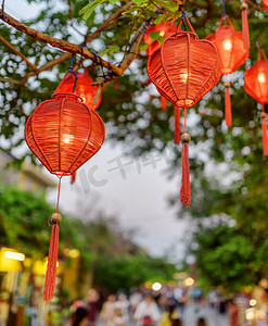 绿色的树木装饰着红色的灯笼, 令人惊叹的夜景