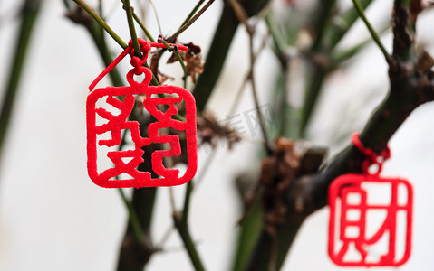 中国传统风格装饰在树上，汉字的意思是