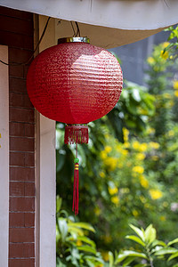 在越南府口岛的街道上，中国的红灯笼成了中国新年的节日