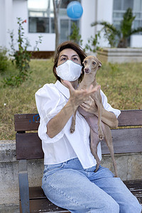 保护抵御摄影照片_与意大利灰狗玩耍的女人，带着保护面罩，抵御考拉威斯。Covid-19概念