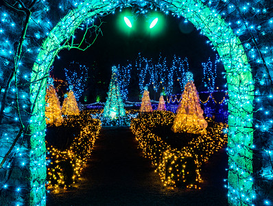 蓝色绿色拱门圣诞灯范杜森花园温哥华英国