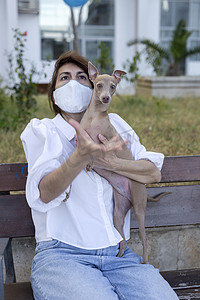 与意大利灰狗玩耍的女人，带着保护面罩，抵御考拉威斯。Covid-19概念