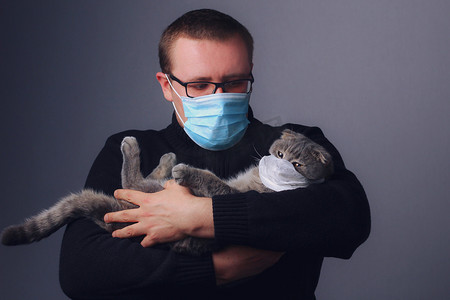 猫和人摄影照片_苏格兰人的猫和人戴着口罩繁殖后代.covid-19大流行病（Coronavirus感染）的概念和检疫。关心的情感