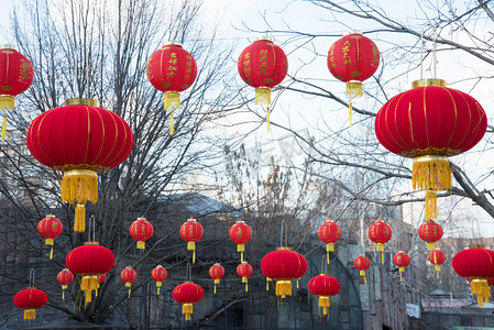 冬季公园的树上挂着红色的中国灯笼.