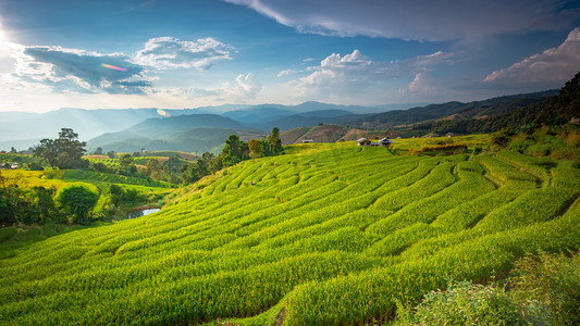 美丽的风景。泰国清迈Mae Chaem Pa Pong Pieng村的稻田.