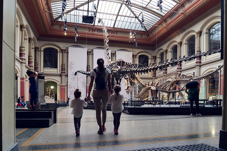 骨骼恐龙摄影照片_一个家庭去参观考古博物馆, 那里有史前恐龙骨骼。理念: 教育、家庭、学校、历史.