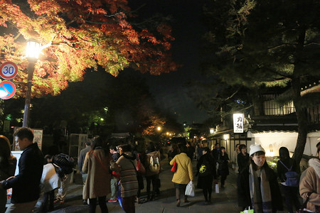 五彩斑斓的叶子摄影照片_金秋时节的 kodaiji 晚上 