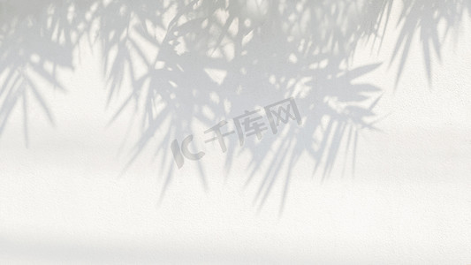 天然竹叶枝叶落在旧的白色混凝土墙体上的灰暗背景，背景和墙纸，黑白单色吨