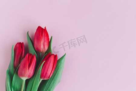 红色贺卡摄影照片_柔和的红色粉红郁金香在粉红的背景上.母亲节的贺卡。平躺在床上案文的位置. 