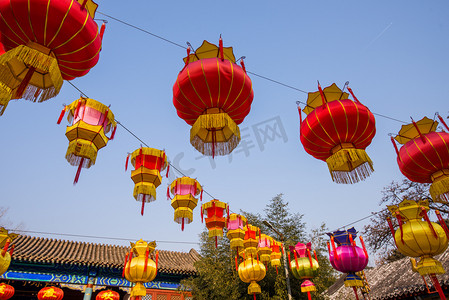 传统中国红灯笼挂在树上，庆祝新的一年