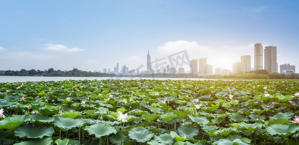 南京玄武湖与建筑垃圾的天际线