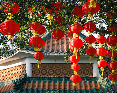 中国传统住宅屋顶下的中式灯笼树枝.