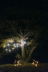 圣诞树下的照明蜡烛的夜晚组成与花环灯.