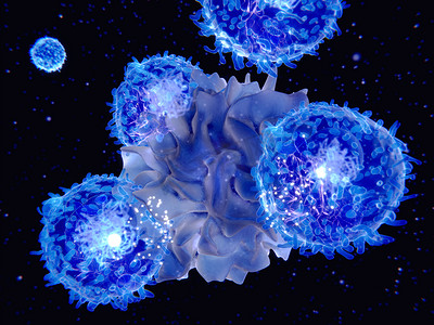 节日热点摄影照片_树突状细胞的3d 计算机插图。它们是免疫系统中的抗原呈现细胞。它们的主要功能是处理抗原材料, 并将其呈现在细胞表面的 T 细胞中。他们是信使贝威