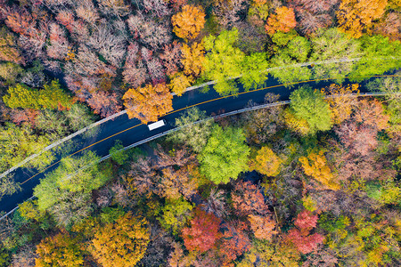 秋autumn摄影照片_An aerial view of the colorful autumn leaves in Zhongshan Park scenic spot in Nanjing city, east China's Jiangsu province, 20 October 2018.  *** Local Caption ***  