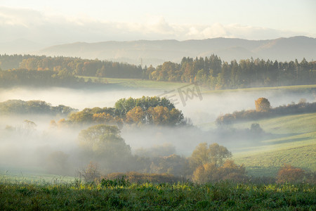 斯洛伐克摄影照片_雾蒙蒙的清晨,草地上,树木丛生,景色斑斓.斯洛伐克