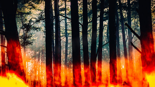 肆虐摄影照片_肆虐的松木森林火灾 - 带复制空间的数字复合材料