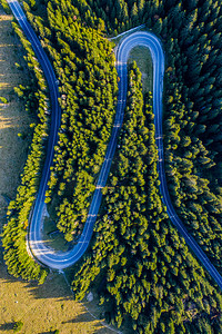 从上面的无人机上捕捉到的绿色松树林和乡村蛇形公路的鸟图