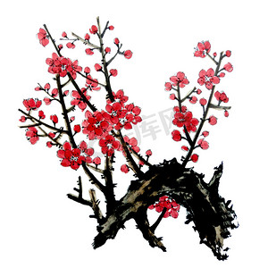 水墨画摄影照片_枝条开花的树的枝条梅花、野杏花和樱花的粉红色和红色花柱。水彩画和水墨画插图风格苏美。中国传统水墨画.