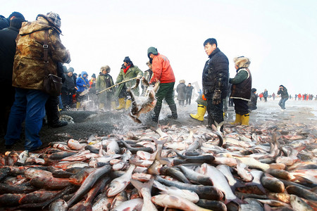 东北拌肉摄影照片_2010年12月29日，中国东北吉林省松原市钱果罗西蒙古族自治县查干湖渔网，中国渔民将鱼从渔网中转移出来。