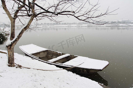 冬季景观与雪和树