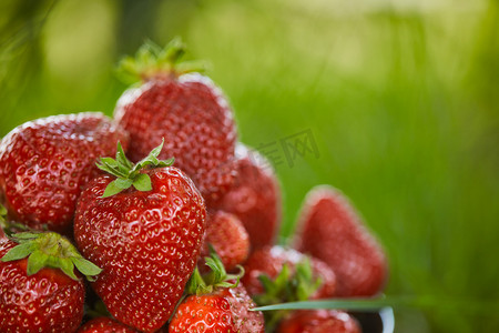 红草莓摄影照片_有机红草莓在绿草上的选择性焦点 