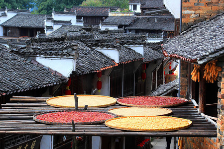 crops摄影照片_Hot peppers, corns, chrysanthemum flowers, and other crops and harvests are dried on roofs and racks under the sun in Huangling village, Wuyuan county, Shangrao city, east China's Jiangxi province, 16 September 2018