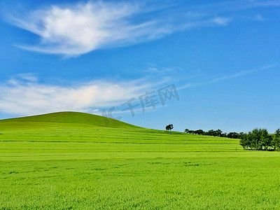 绿色的原野和蓝蓝的天空