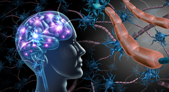 脑神经细胞和神经系统解剖概念作为人类神经病学和神经元功能障碍的符号多发性硬化症或老年痴呆症与三维例证元素..