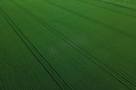 以景观绿色图案为背景的绿色稻田空中无人机景观.