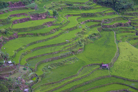 在菲律宾巴拿墟的水稻梯田景观。巴拿墟米梯田是联合国教科文组织世界遗产遗址自1995年以来