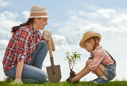 女孩植物幼树树