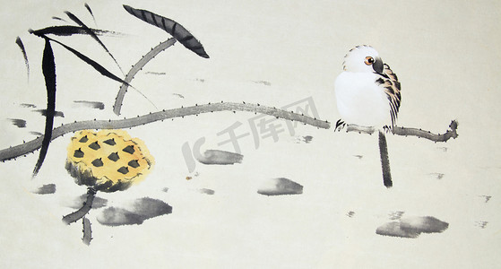 图中国图案摄影照片_中国传统绘画的鸟