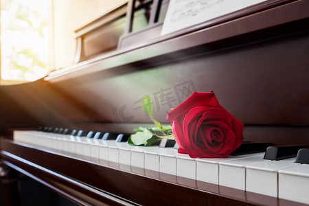 周日早安摄影照片_教会与温暖的光，在周日早上在钢琴上的红玫瑰
