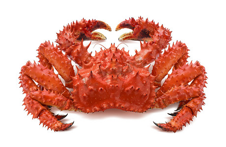 红棕色帝王蟹 2 白色背景上孤立