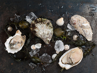 料理菜单摄影照片_美味新鲜牡蛎