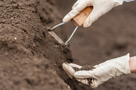 technician摄影照片_Researcher technician holding soil in hands