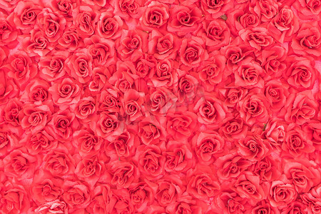 roses摄影照片_plastic rose background