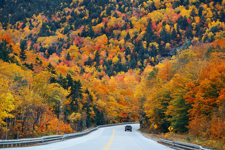 公路和秋天的树叶