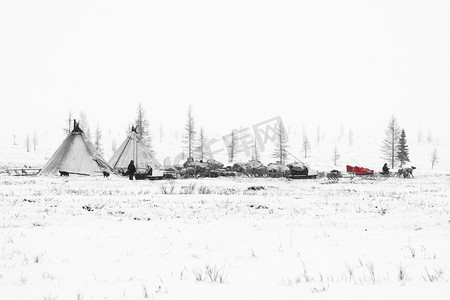 游牧部落准备到季节迁移在极地苔原在霜冻的日子里.