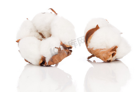 柔软棉花