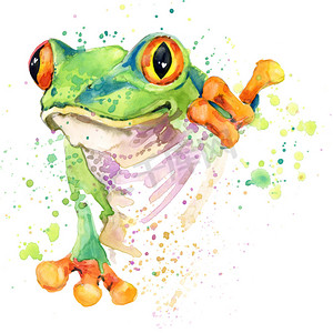 Funny frog T-shirt graphics. frog illustration with splash watercolor textured background. unusual illustration watercolor frog fashion print, poster for textiles, fashion design